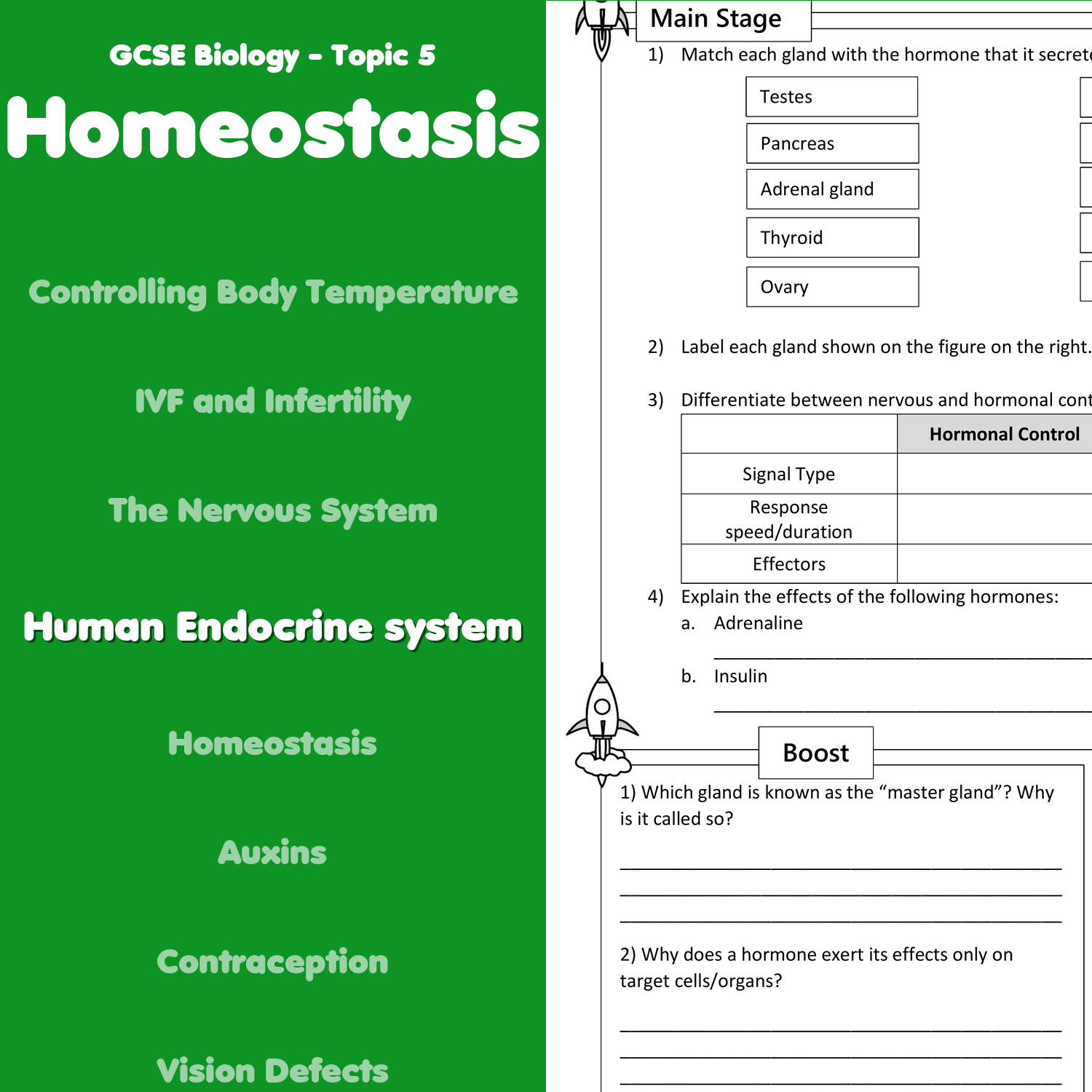 CCOHS Endocrine Disruptors Worksheets Library