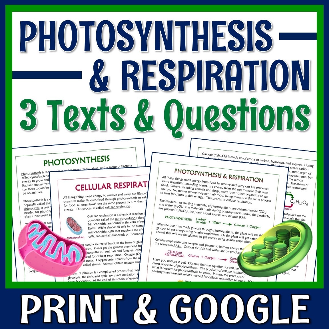 Cell Respiration And Photosynthesis Review Packet Exercises