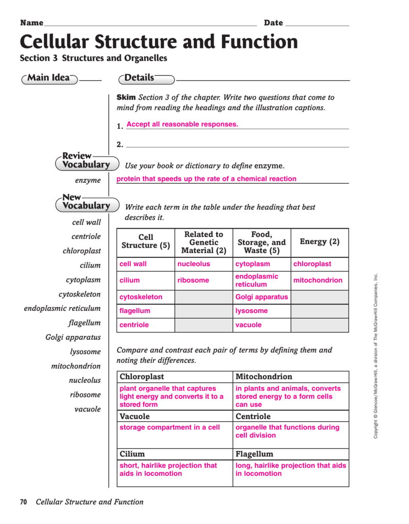 Cell Structure And Function Worksheet Pro Worksheet