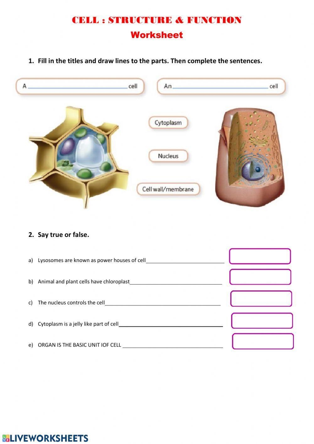 biology cell structure and function worksheet