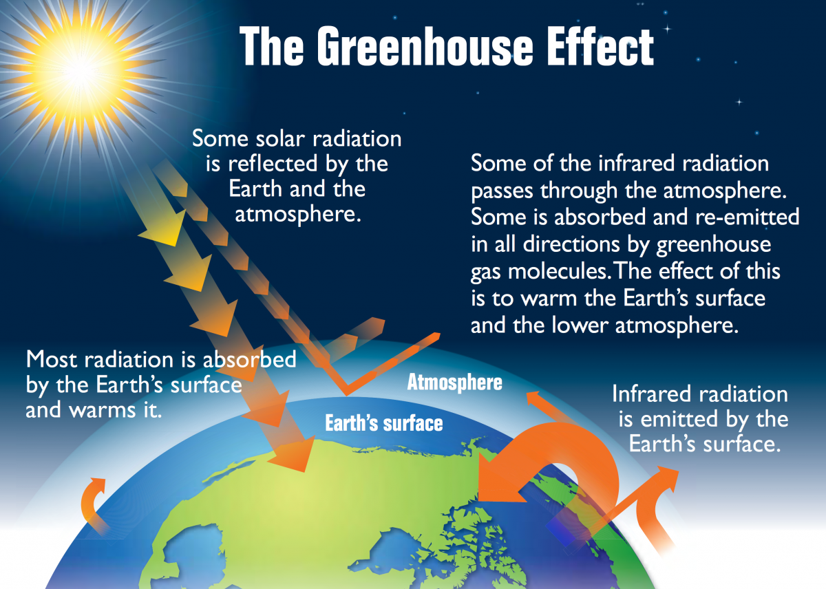 Climate Change Worksheet Archives Easy Science For Kids