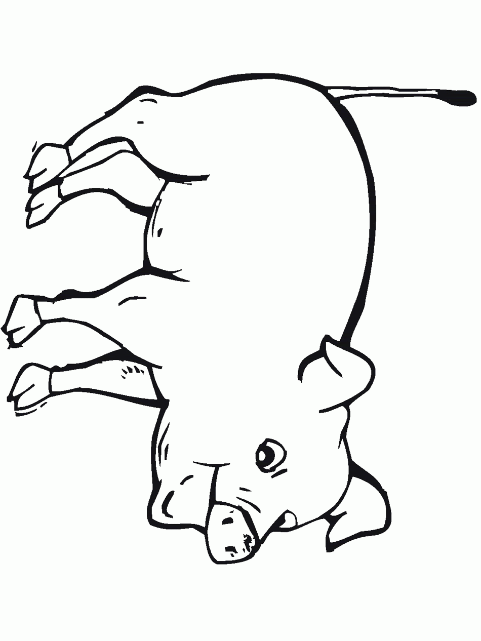 Color Farm Animals Printables