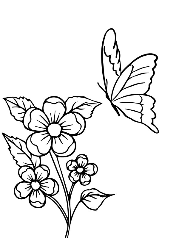 Flowers With Butterflies Coloring Pages