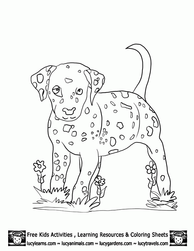 Dalmatian Dog Coloring Page Coloring Home