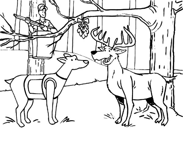 Deer Hunting Color Pages Warehouse Of Ideas