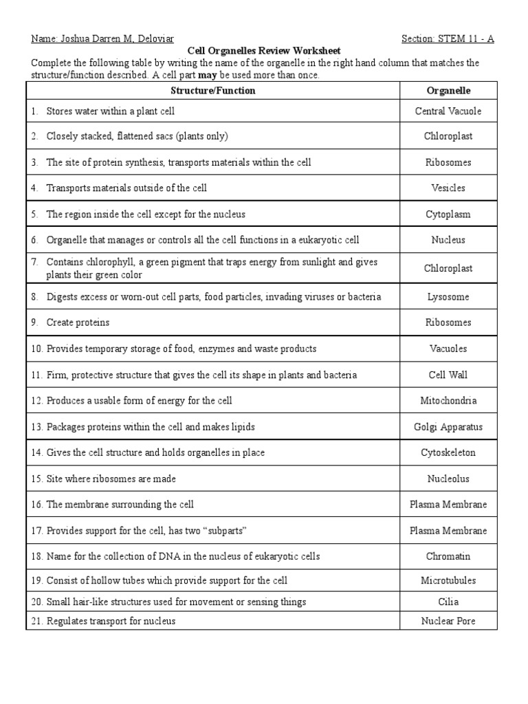 cell organelles worksheet answer key