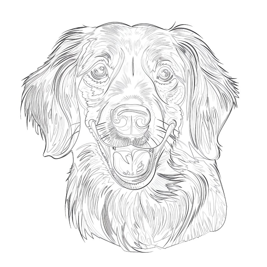 Dog Coloring Pages Cute Coloring Pages Mimi Panda