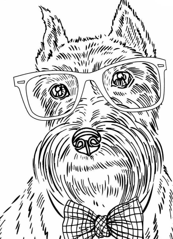 Dog Coloring Pages For Adults Best Coloring Pages For Kids