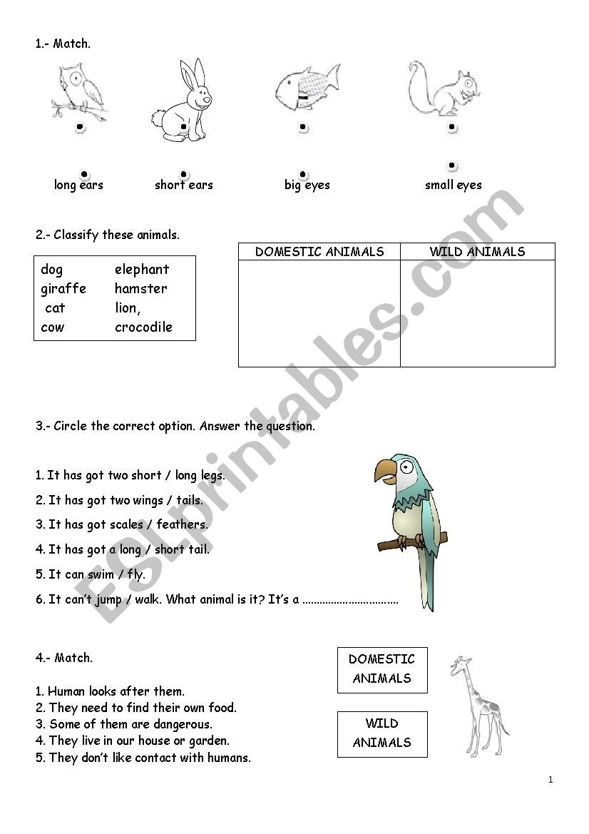 Domestic And Wild Animals ESL Worksheet By Kekenito