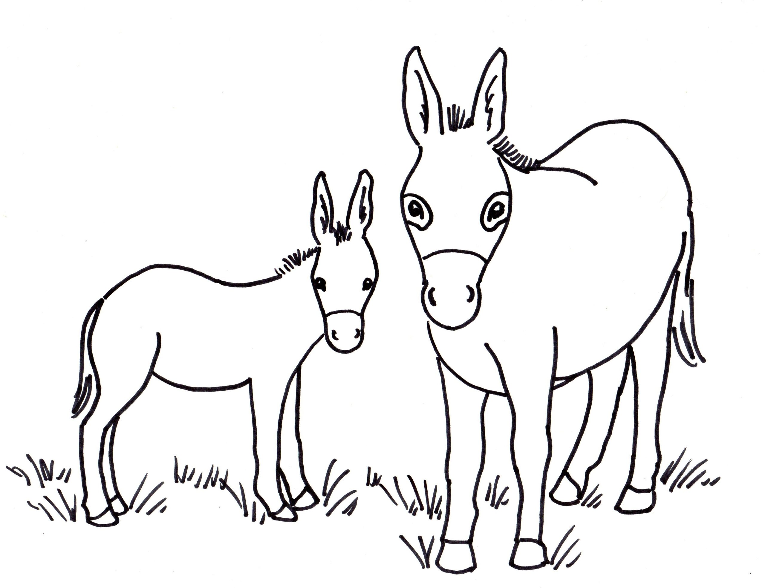 Donkey Coloring Page Art Starts