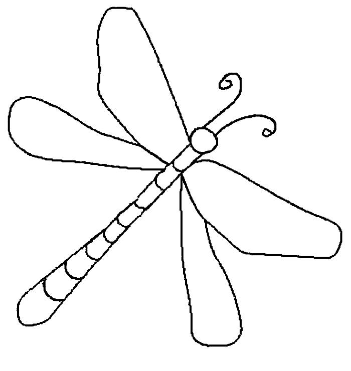 Dragonfly Coloring Pages Free Printable PDF 