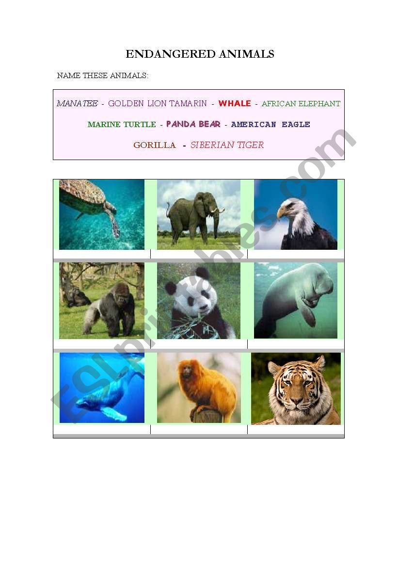 printable pictures of endangered animals