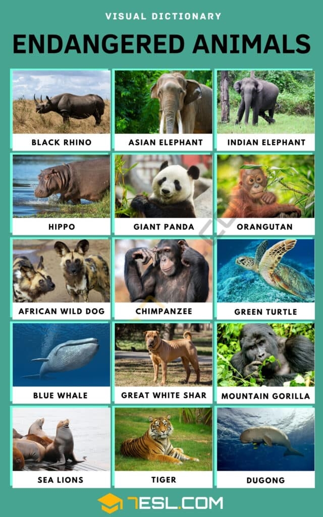 printable pictures of endangered animals with names