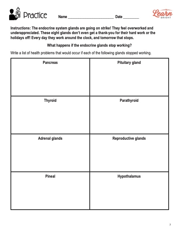 Endocrine System Worksheet PDF Endocrine System Hormone 
