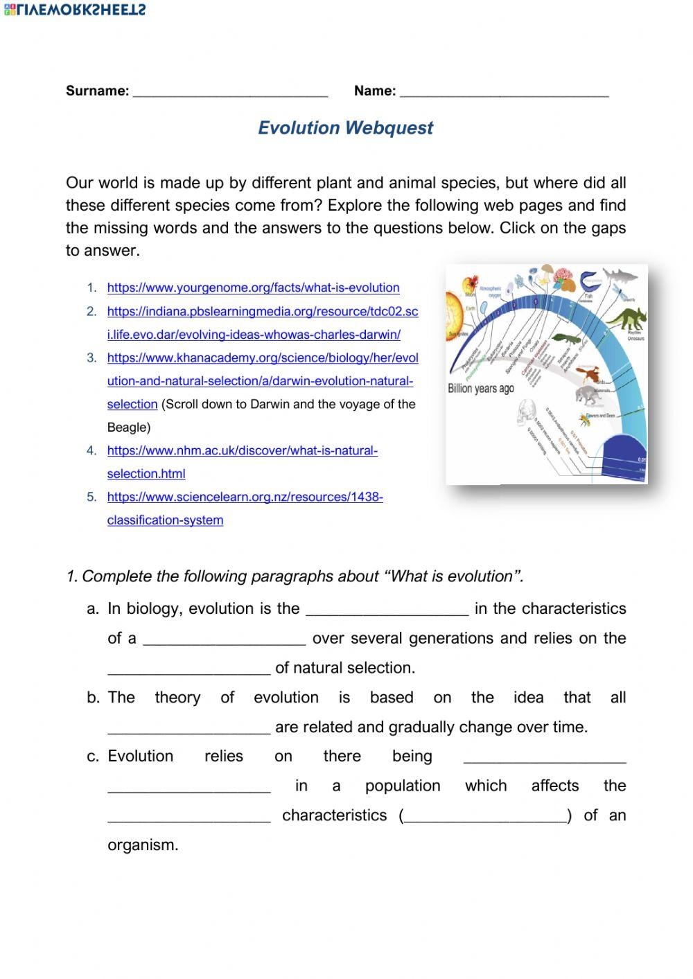 Evolution WebQuest Online Exercise For Live Worksheets Worksheets 
