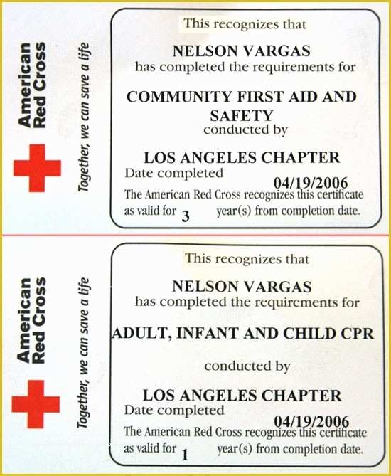 american heart association fake printable cpr certification card