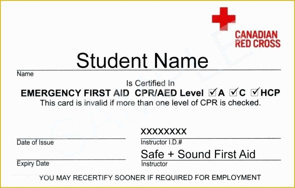 Fake Printable Cpr Certification Card Printable Word Searches