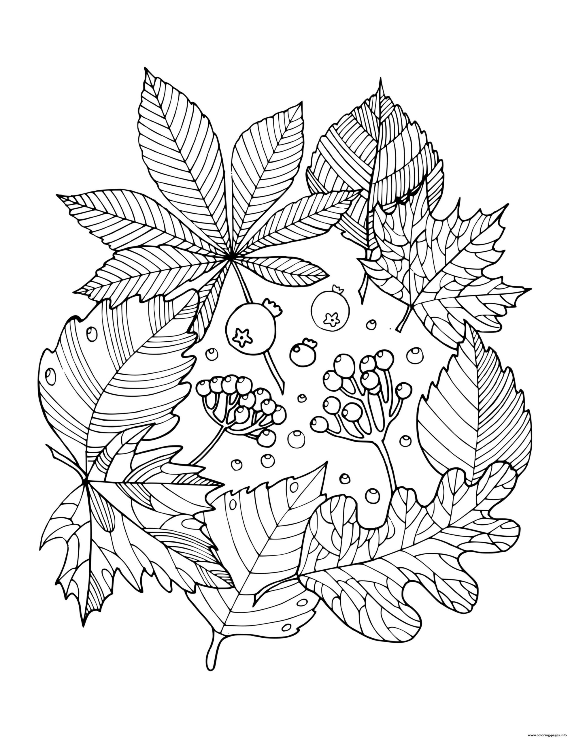 Fall Printable Coloring Pages