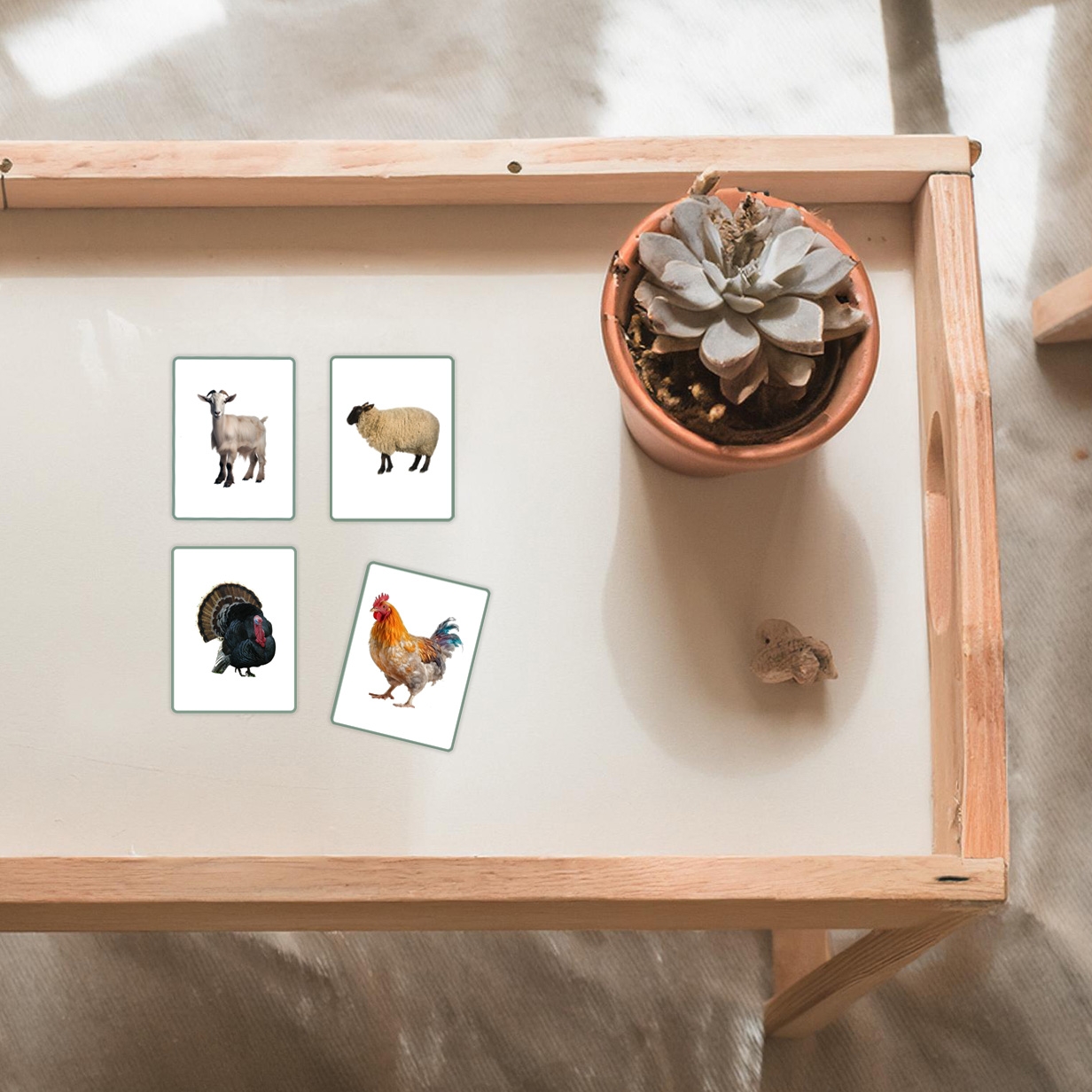 Farm Animal Nomenclature Cards Montessori Math Studio