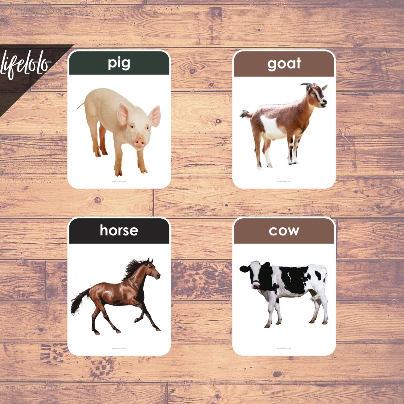 FARM ANIMALS Real Pictures 27 Flash Cards English Printable 