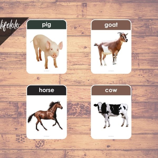 FARM ANIMALS Real Pictures 27 Flash Cards English Printable 