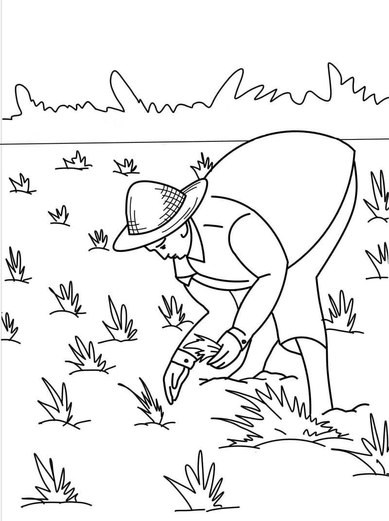 Farmer Coloring Page