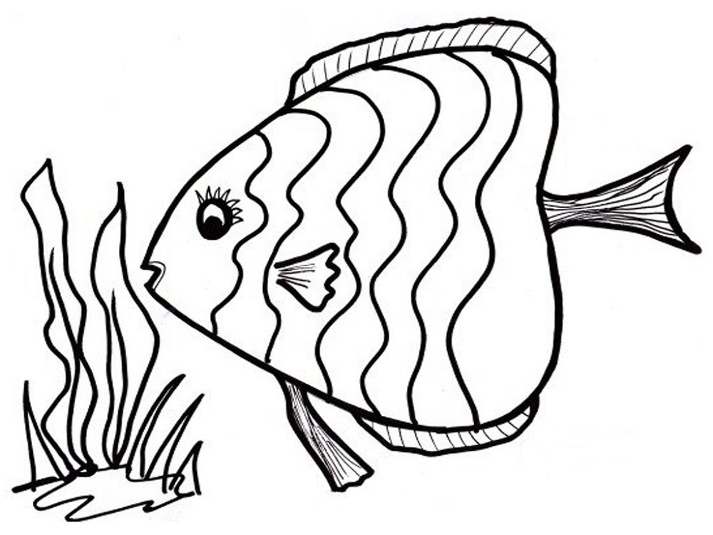 Fish Coloring Page 2020 Printable Activity Shelter