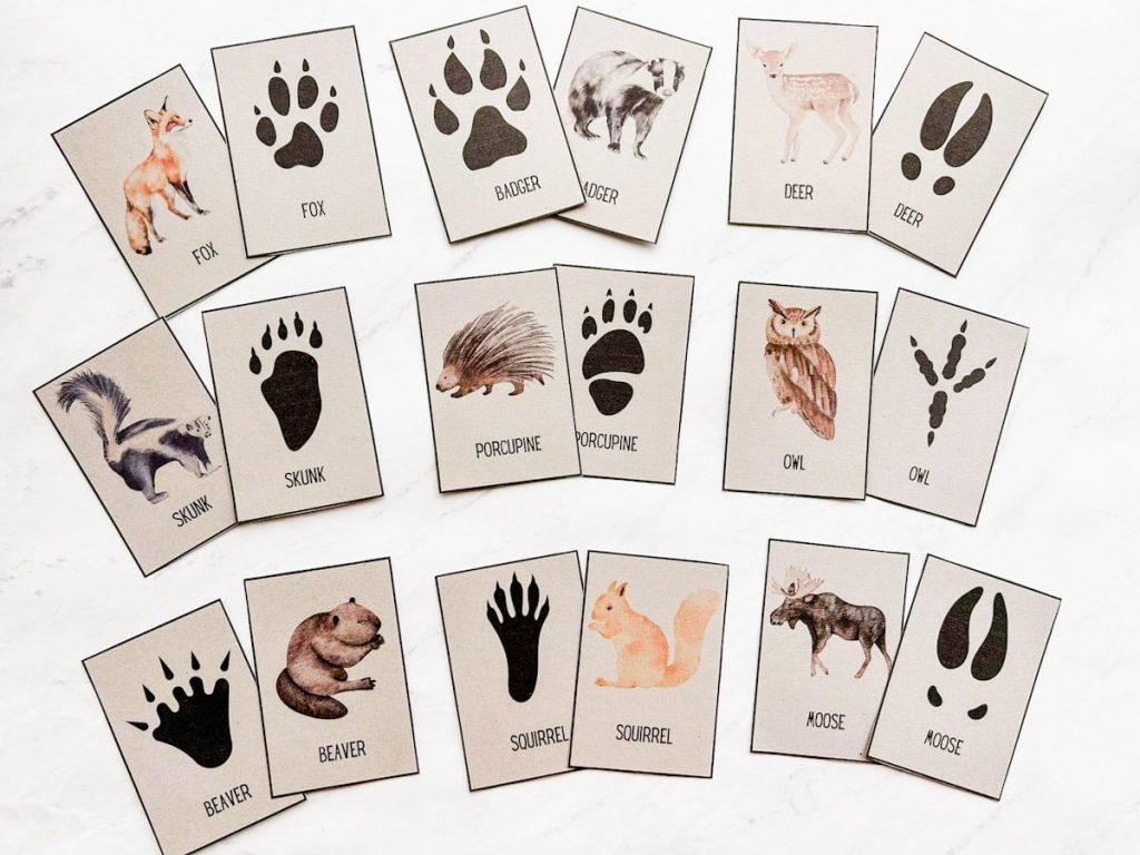 Free Animal Tracks Printable Cards Nature Activity Fox Farm Home
