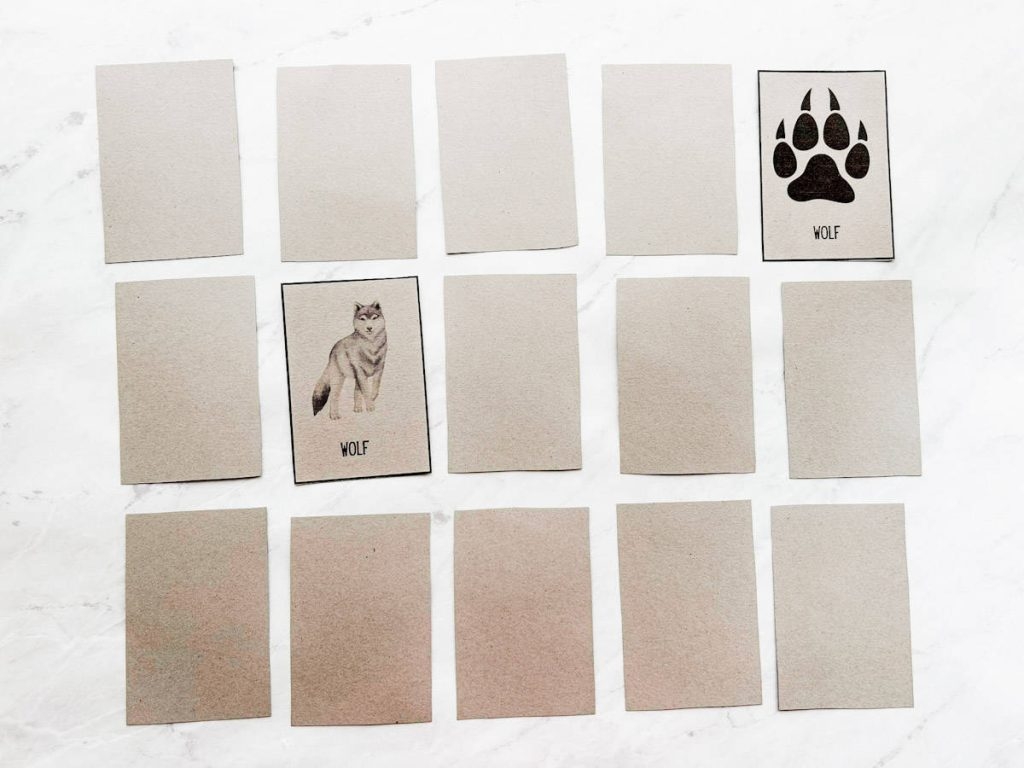 animal track cards free printable
