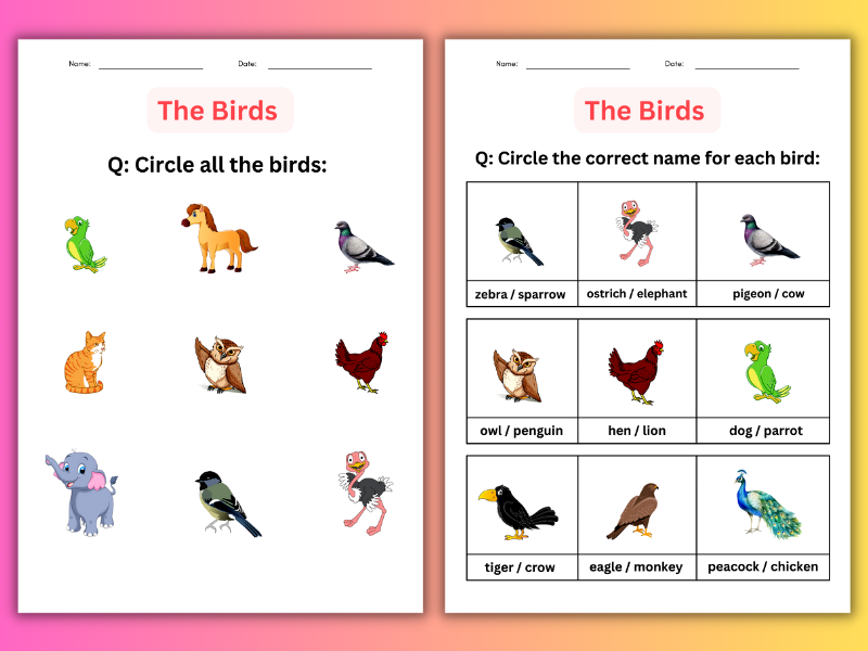 Free Bird Printable Work Sheets Homemade Heather Worksheets Library