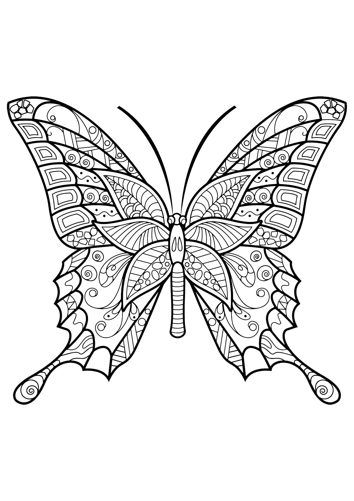 Free Butterflies Coloring Page Butterfly Coloring Pages