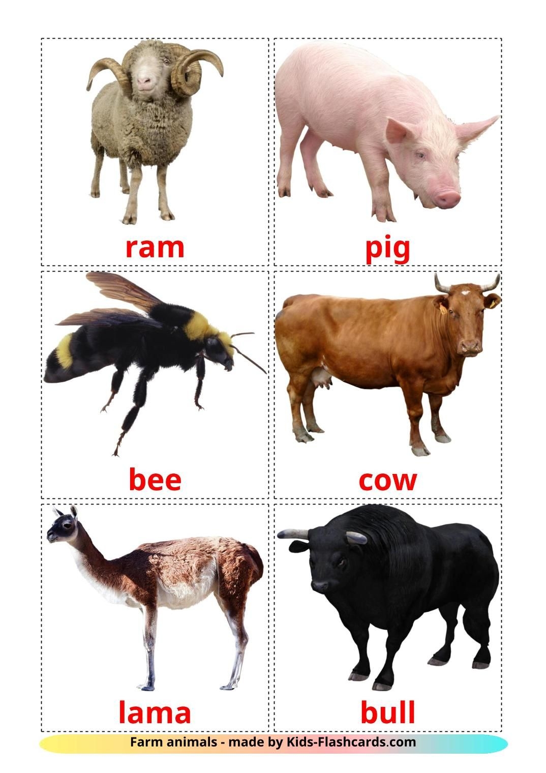 Free Farm Animals Flashcards For Kids On English Language With Real