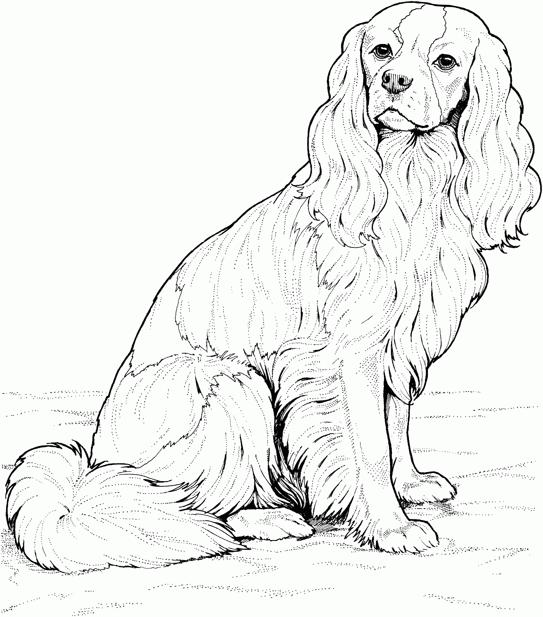 puppy printable coloring pages for girls