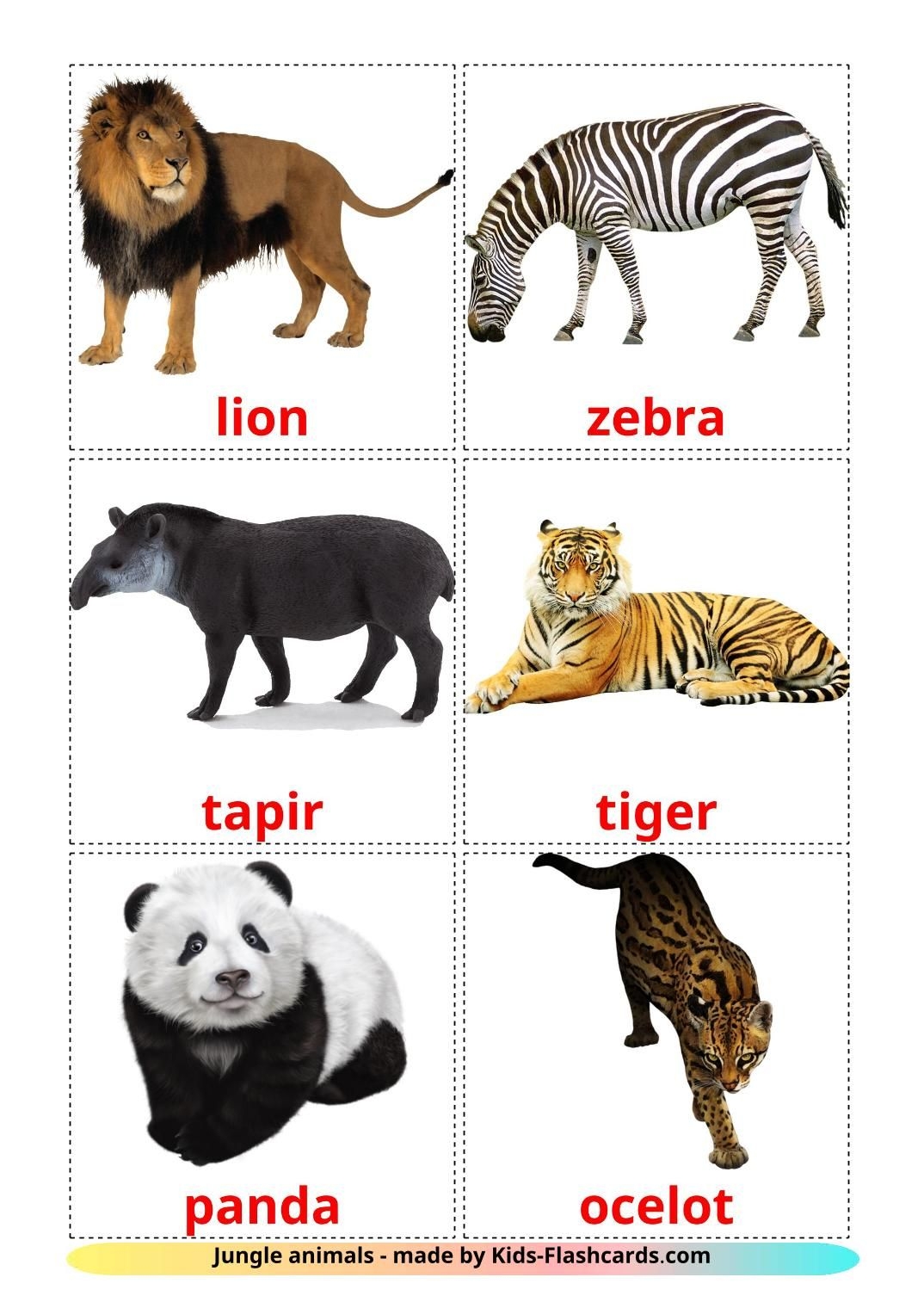 printable pictures of real animals