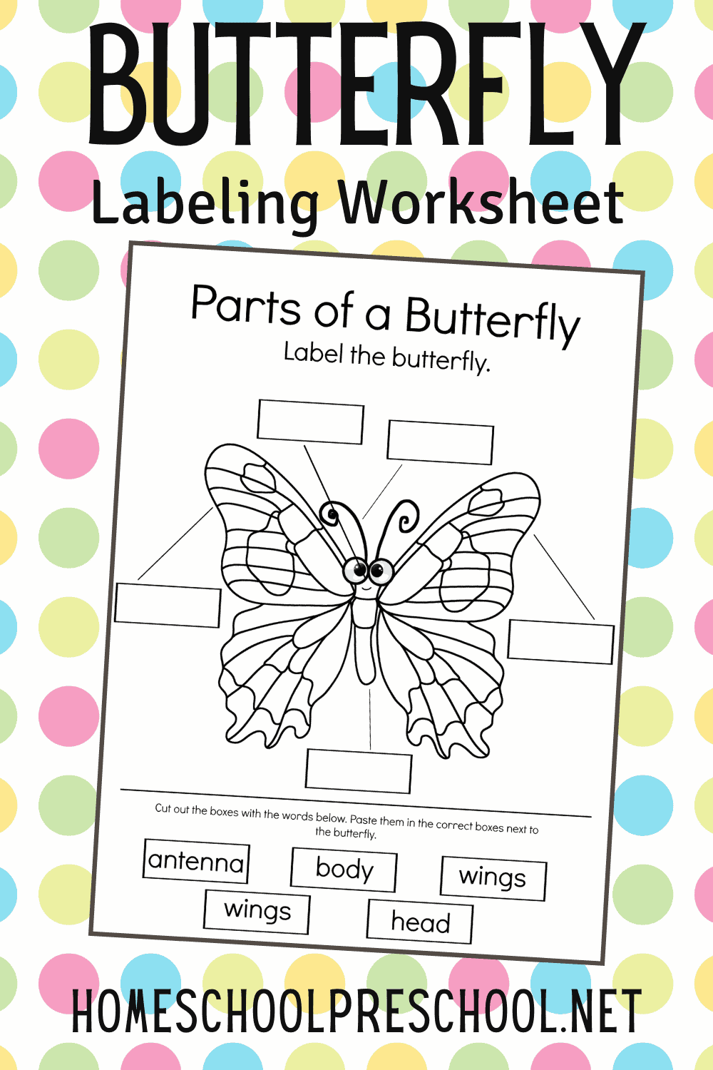Free Parts Of A Butterfly Worksheet Fun Activities Butterfly Life