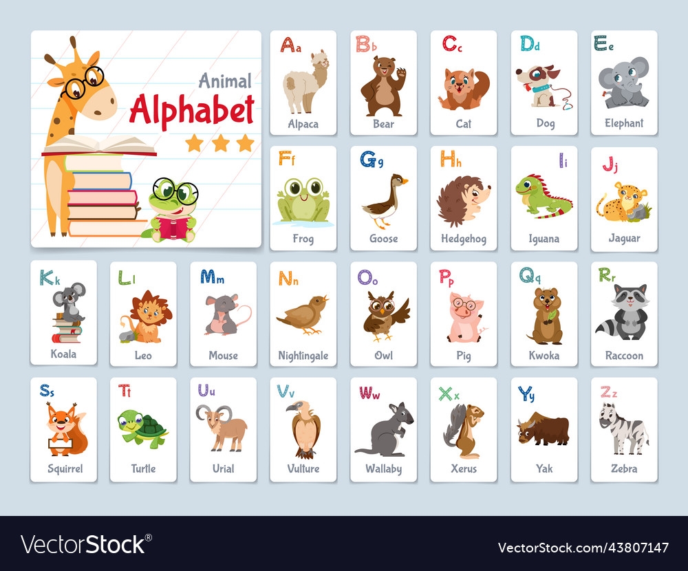 a+ printable flash cards