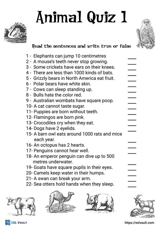 free printable children's picture quiz with answers pdf