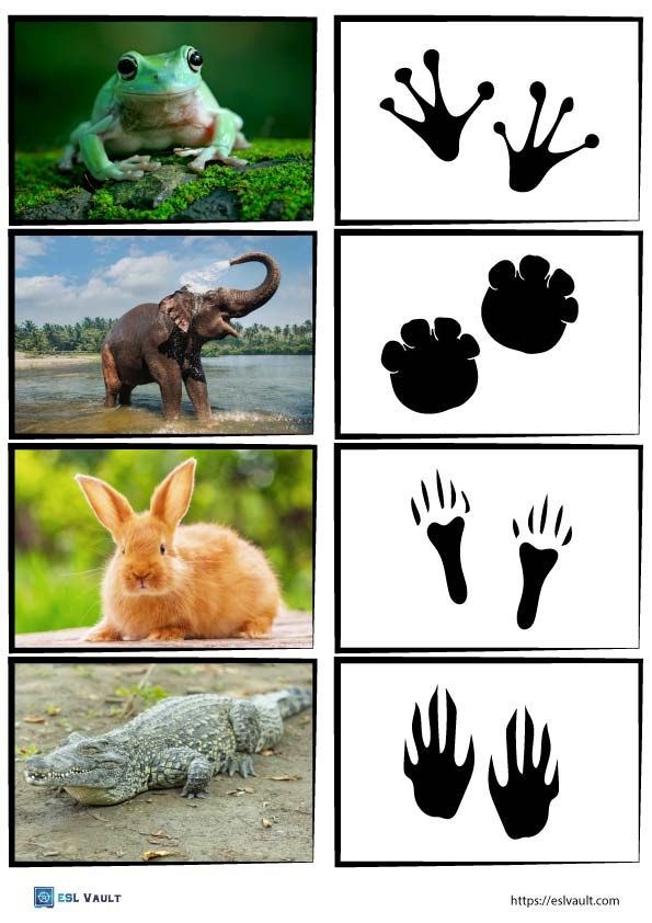 animal track matching cards printable