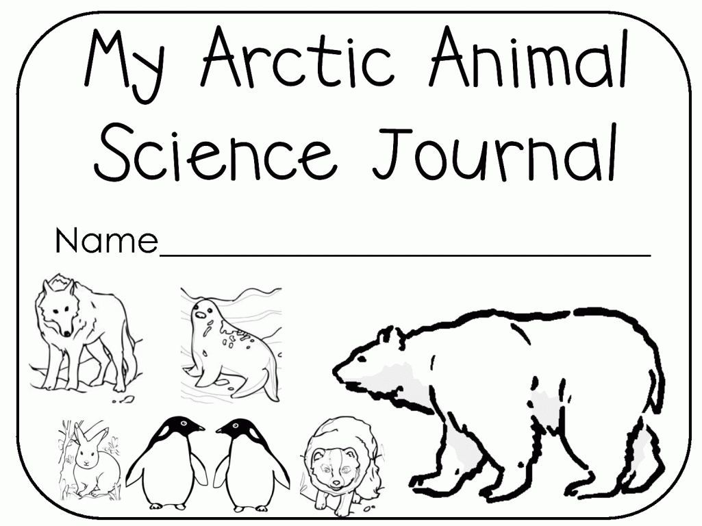 free printable pictures of arctic animals