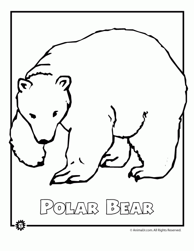 printable pictures of arctic animals