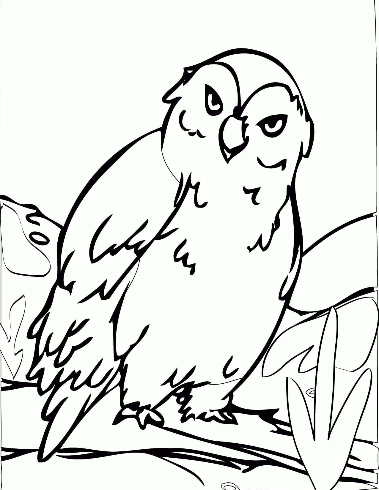 Free Printable Arctic Animals Coloring Pages Coloring Home