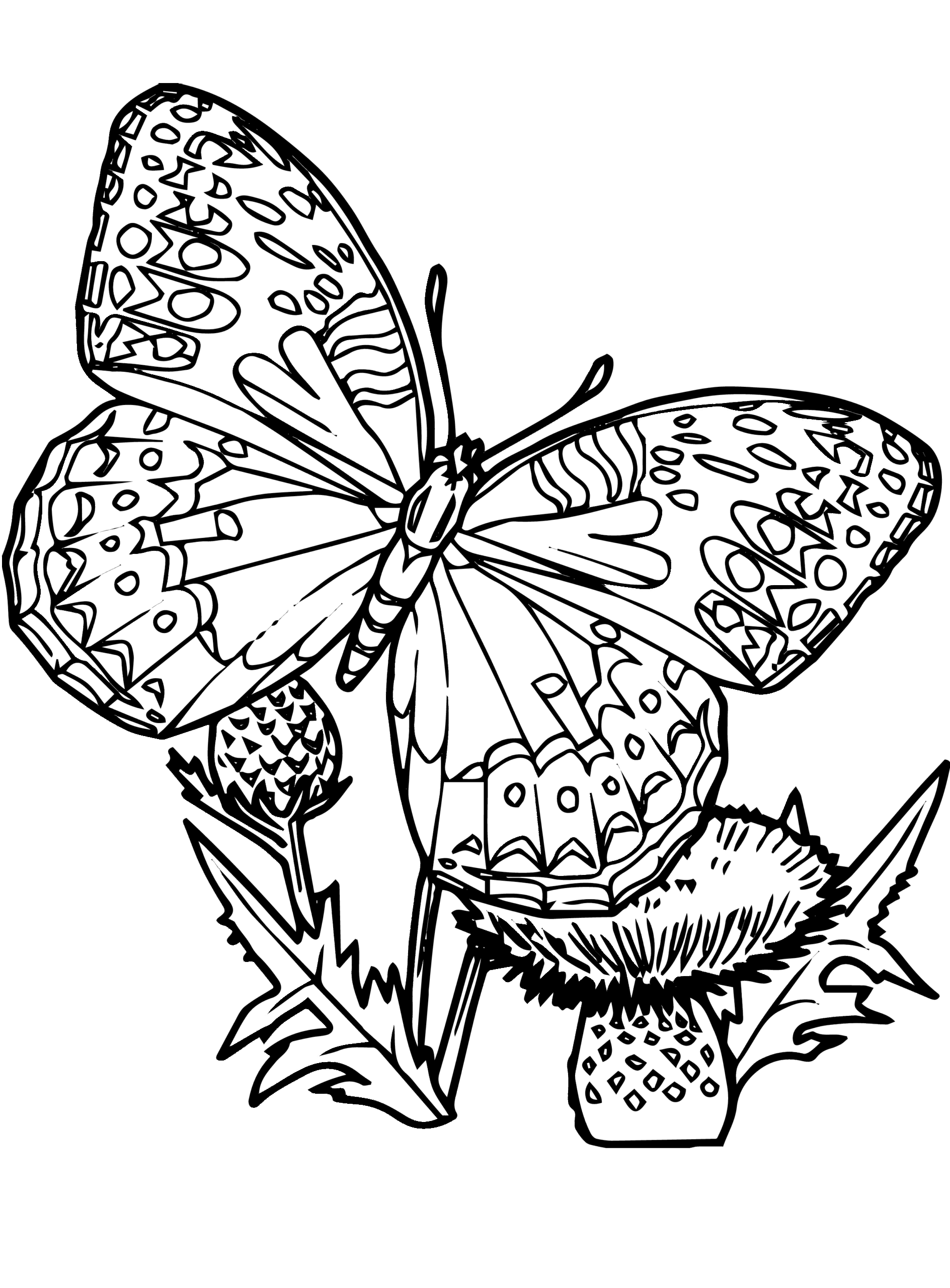 Free Printable Butterfly Coloring Page Flower Coloring Pages My XXX 