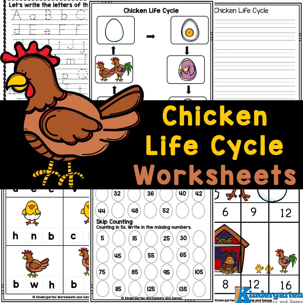 FREE Printable Chicken Life Cycle Worksheets Worksheets Library