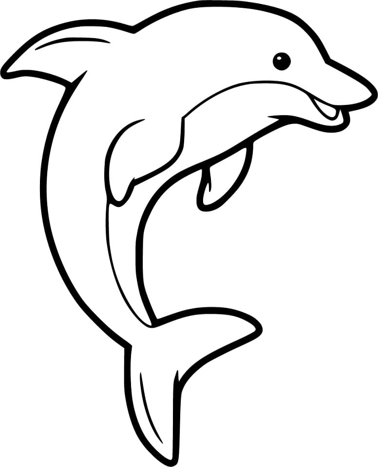 free coloring pages dolphin
