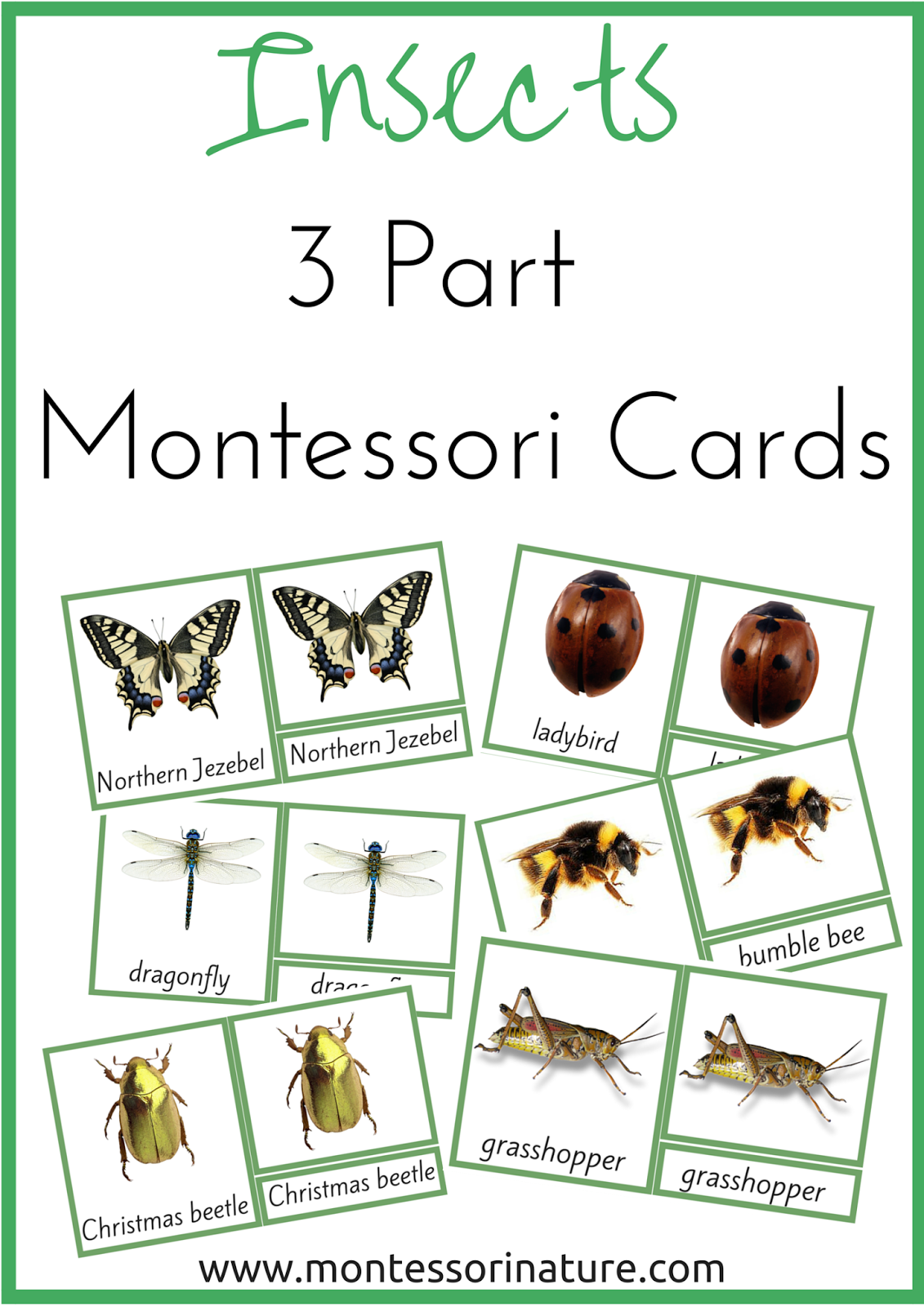Free Printable Montessori Three Part Cards Printable Vrogue co