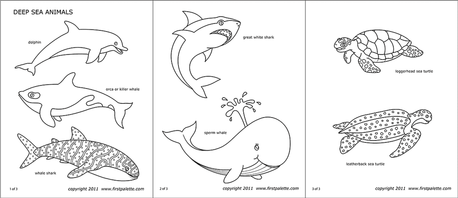 Free Printable Ocean Animals