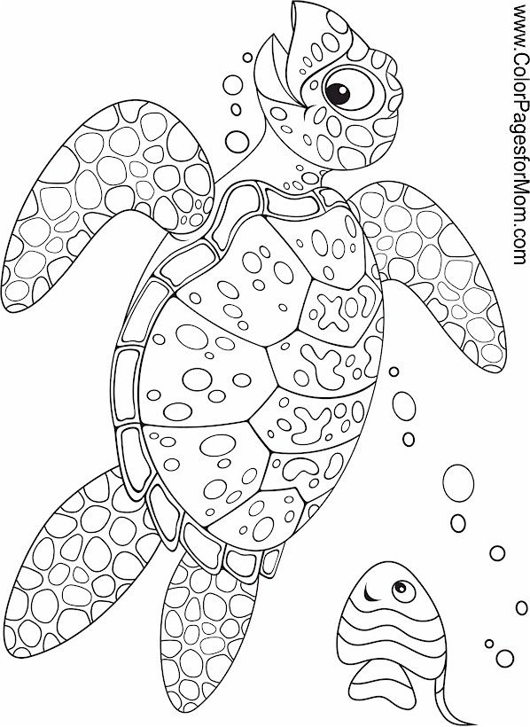 Free Printable Ocean Coloring Pages Printable Calendars AT A GLANCE