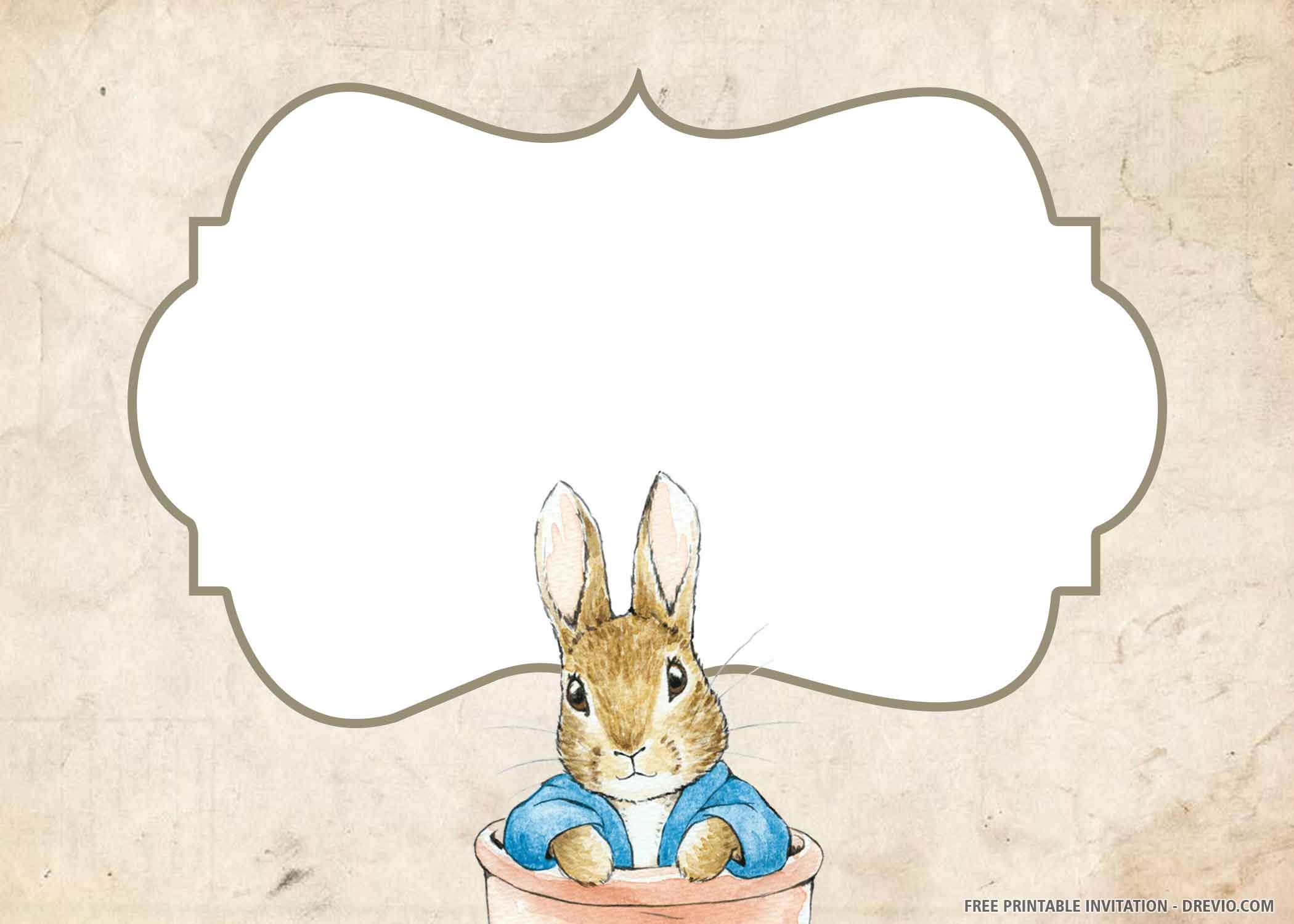  FREE PRINTABLE Peter Rabbit Birthday Invitation Templates DREVIO