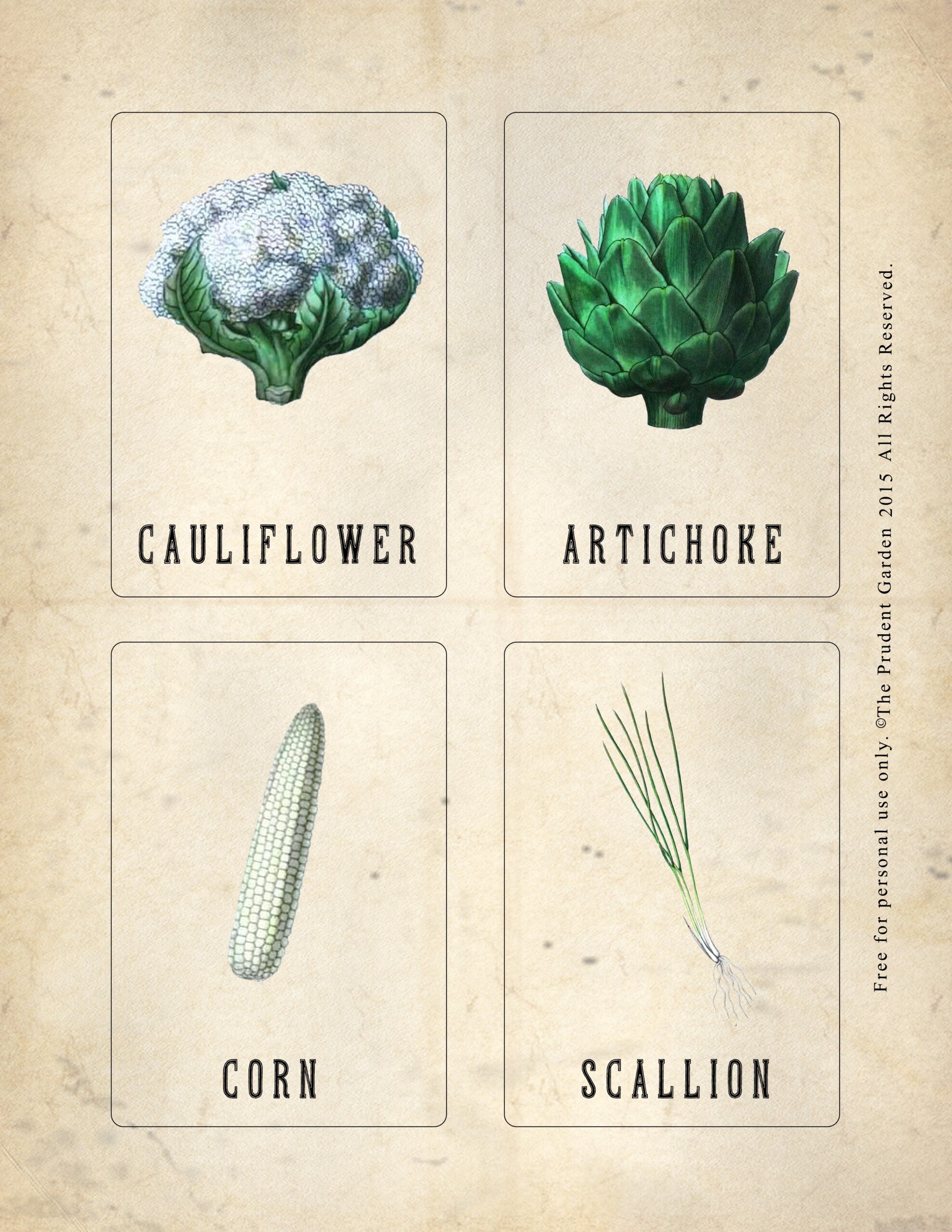 animal nomenclature cards free printable