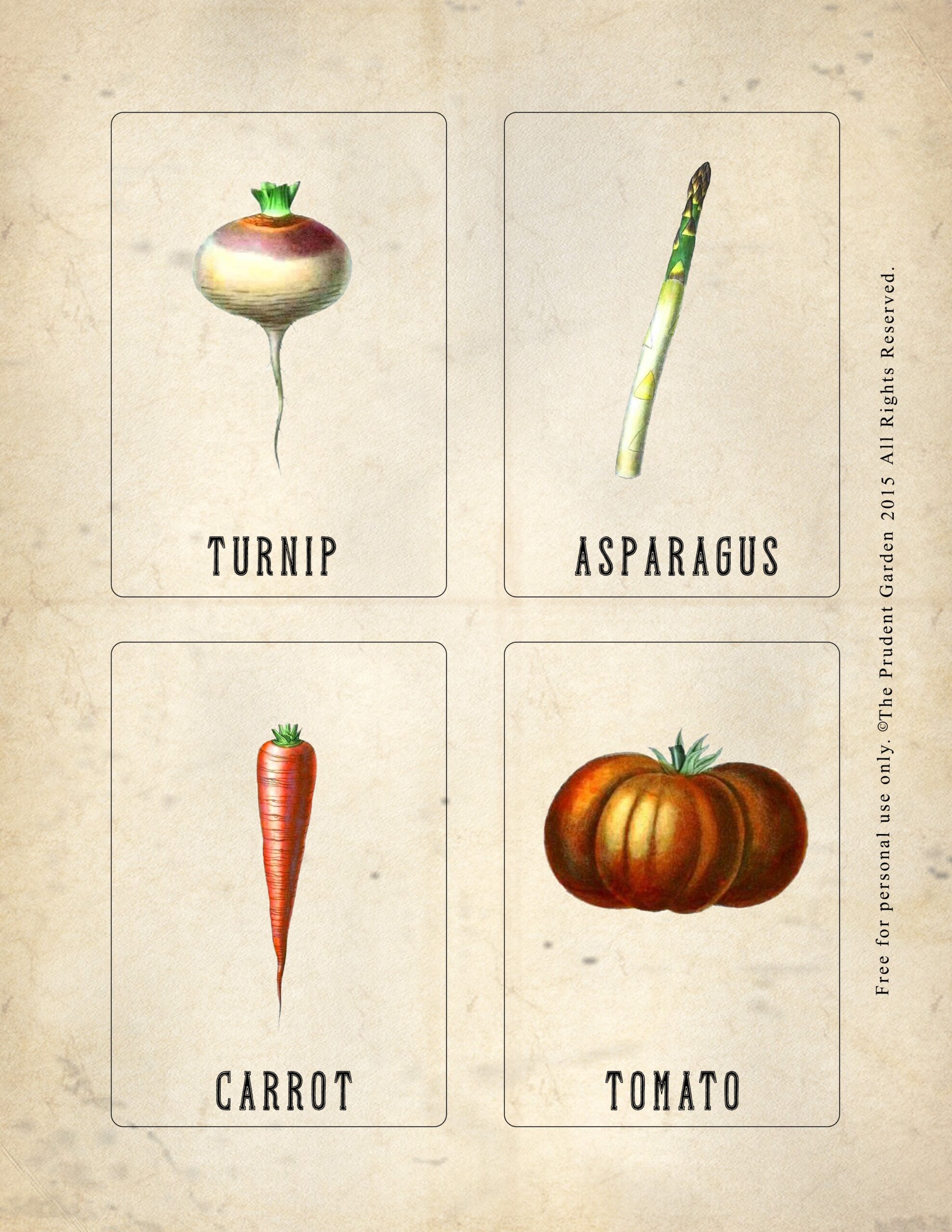 Free Printable Vintage Vegetable Nomenclature Cards